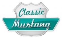 KIT FIXATIONS BUSE 3 RANGEES MUSTANG 1965 1966